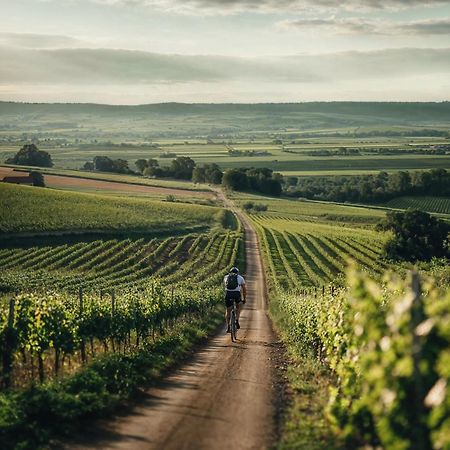 Falkensteiner Balance Resort Stegersbach - Adults Only 外观 照片 Vineyards in the Moselle region