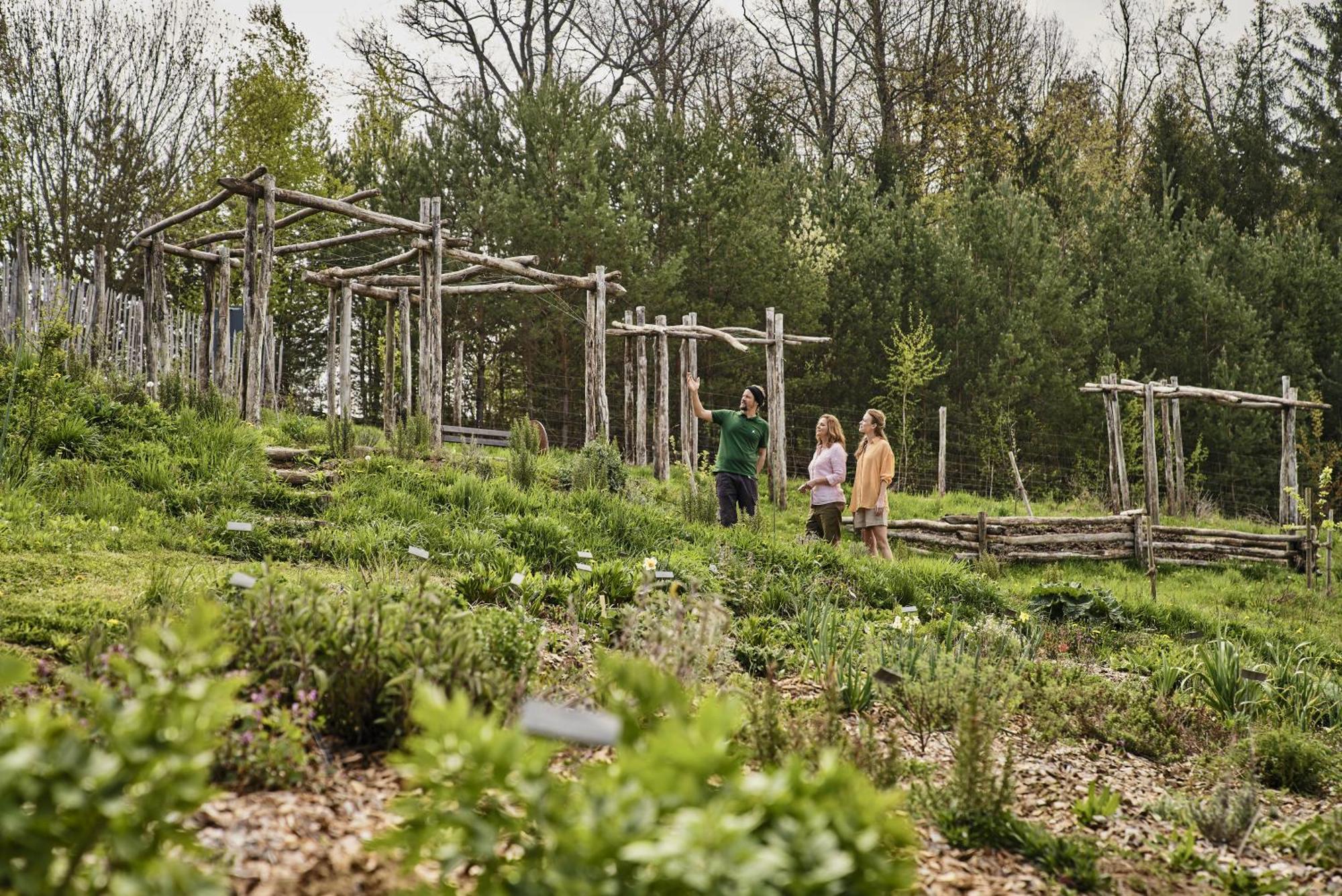 Falkensteiner Balance Resort Stegersbach - Adults Only 外观 照片 The Native American Garden