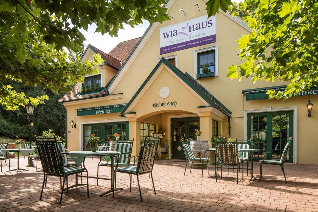 Falkensteiner Balance Resort Stegersbach - Adults Only 外观 照片 Wine Museum in Rheinheim